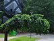 For sale Tourism and recreation / Commercial/service premises Latvioje, Other (19 picture)
