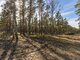 Parduodamas sklypas Latvijoje, Jūrmala (5 nuotrauka)