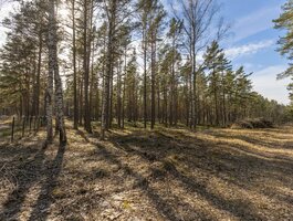 Участок Латвия, Jūrmala