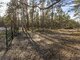 Parduodamas sklypas Latvijoje, Jūrmala (6 nuotrauka)