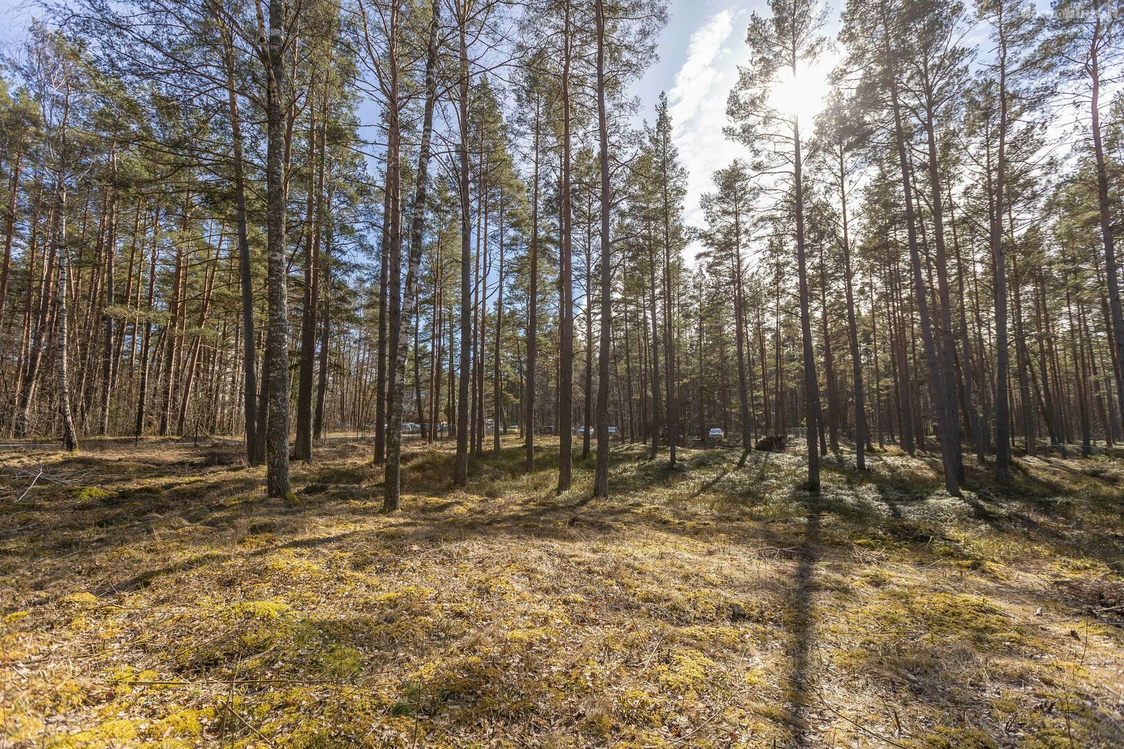 Участок Латвия, Jūrmala