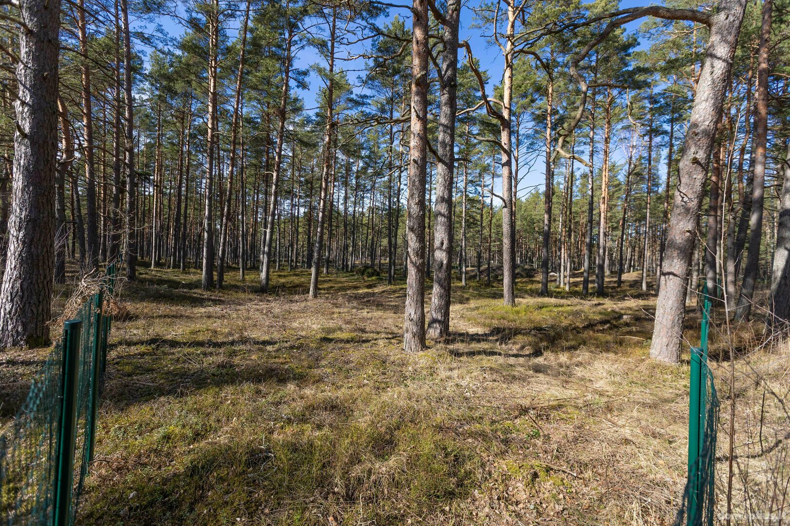 Участок Латвия, Jūrmala
