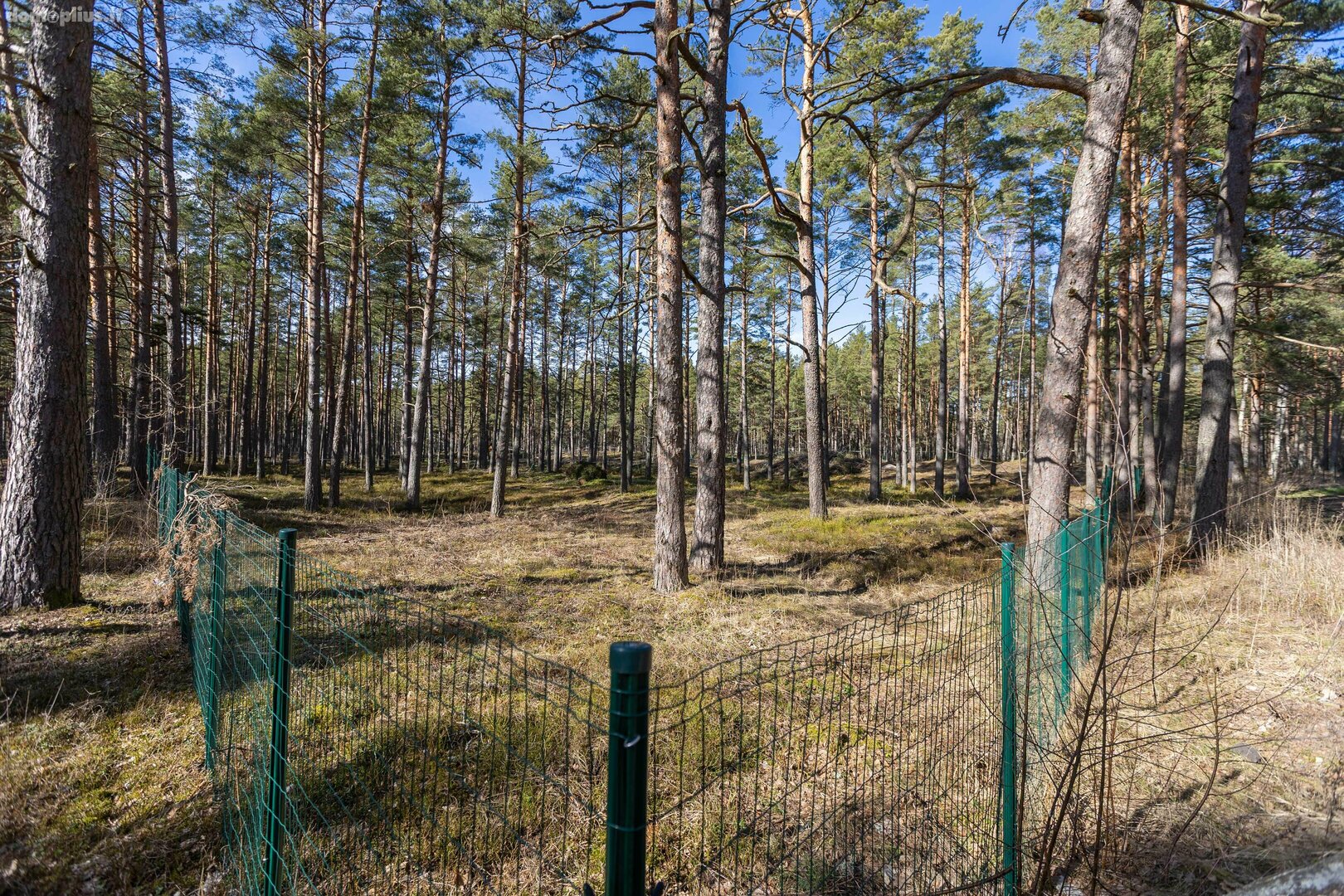 Участок Латвия, Jūrmala