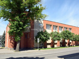 For sale Commercial/service premises Joniškio rajono sav., Joniškyje