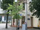 Biuro / Prekybos ir paslaugų / Kita Patalpų nuoma Šiauliuose, Centre, Vilniaus g. (7 nuotrauka)