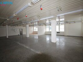Office / Manufacture and storage Premises for rent Alytuje, Vidzgiryje, Ulonų g.