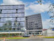 Biuro Patalpų nuoma Vilniuje, Naujamiestyje, Naugarduko g. (2 nuotrauka)