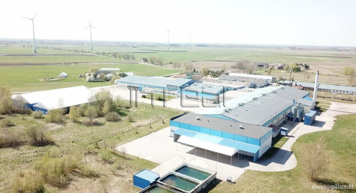 Office / Manufacture and storage / Storage Premises for rent Šilutės rajono sav., Sakūtėliuose