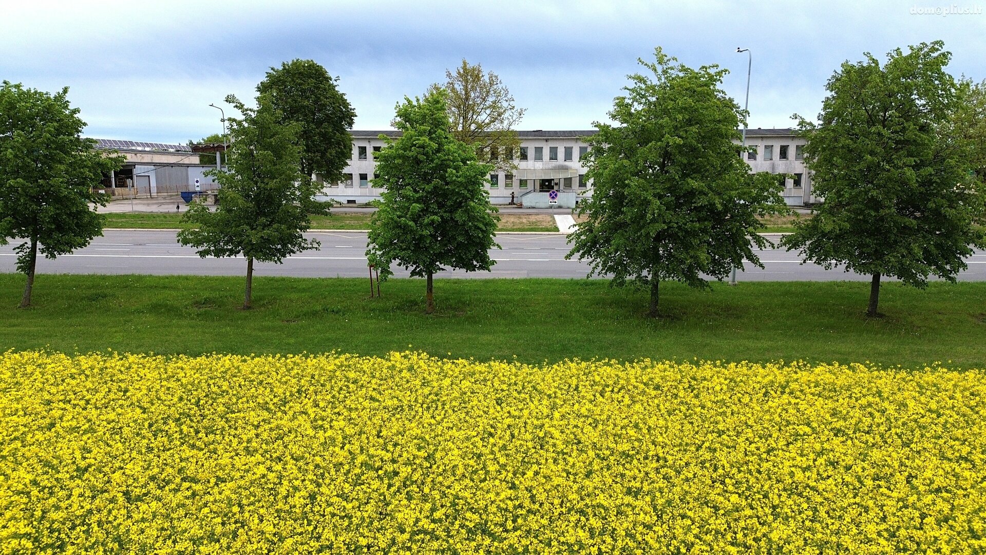 Для бюро Помещения в аренду Panevėžyje, Pilėnuose, Ramygalos g.