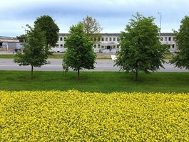 Для бюро Помещения в аренду Panevėžyje, Pilėnuose, Ramygalos g.