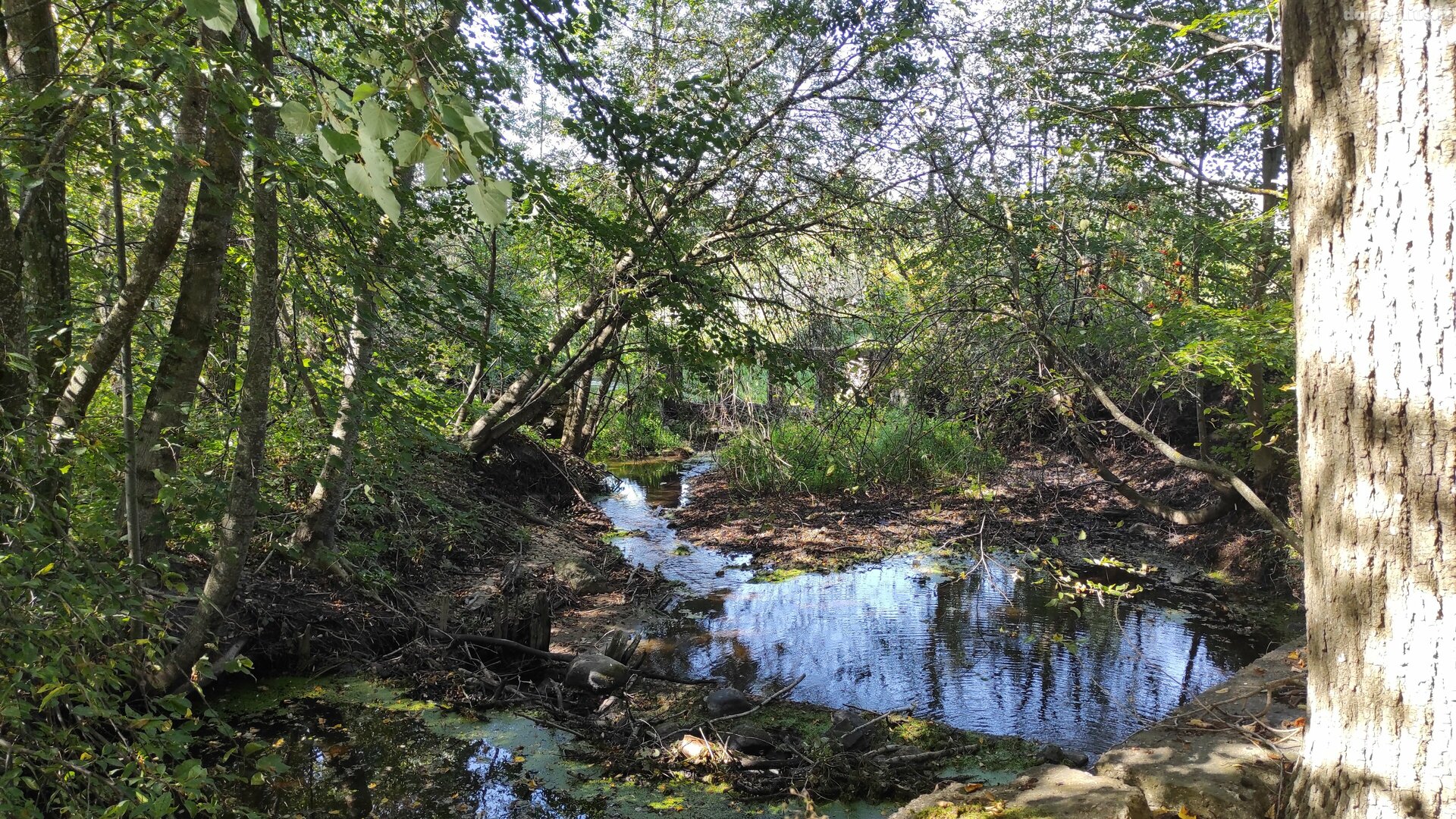 Parduodamos Gamybos ir sandėliavimo patalpos Kupiškio rajono sav., Subačiuje, Panevėžio g.