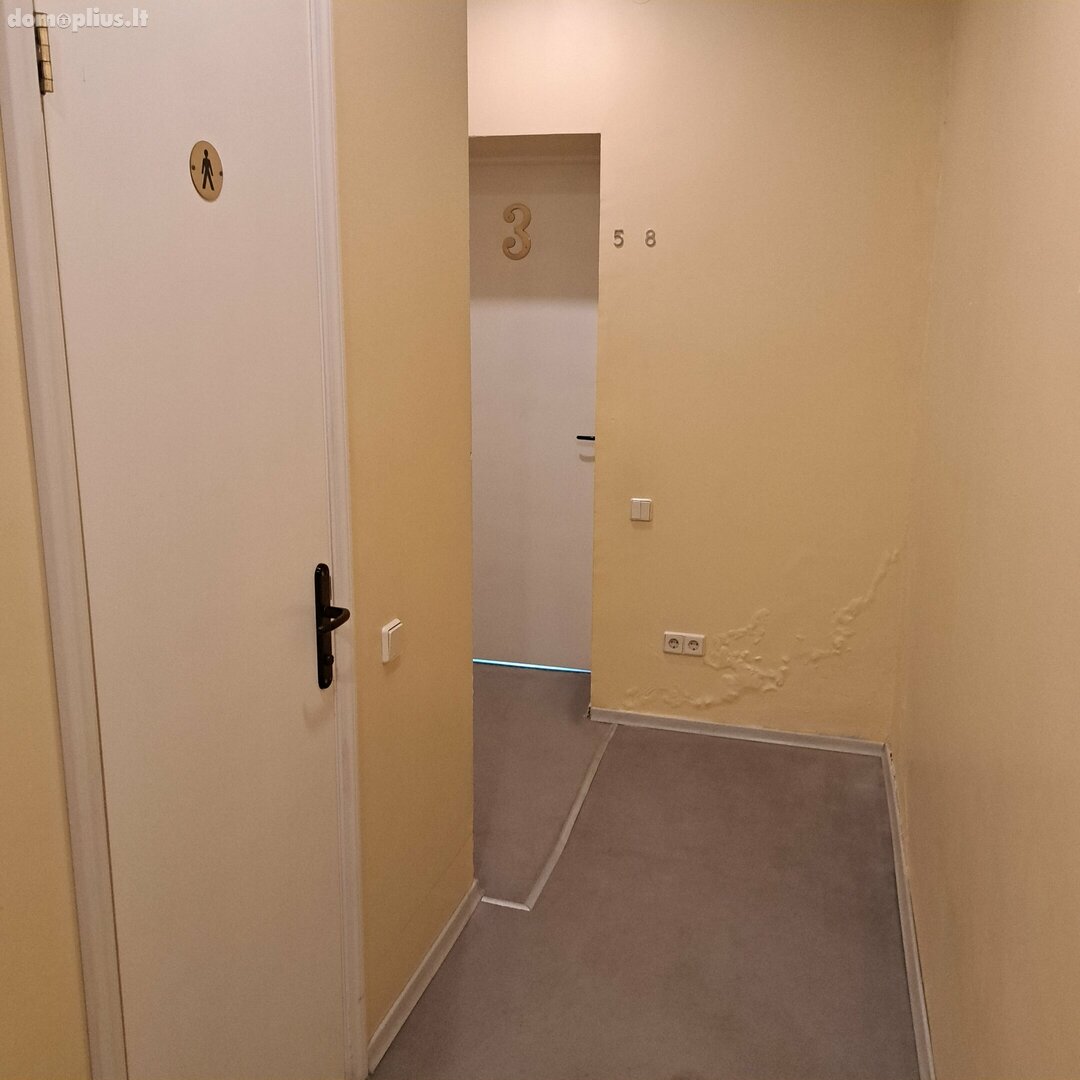 Prekybos ir paslaugų / Kita Patalpų nuoma Vilniuje, Šnipiškėse, P. Lukšio g.