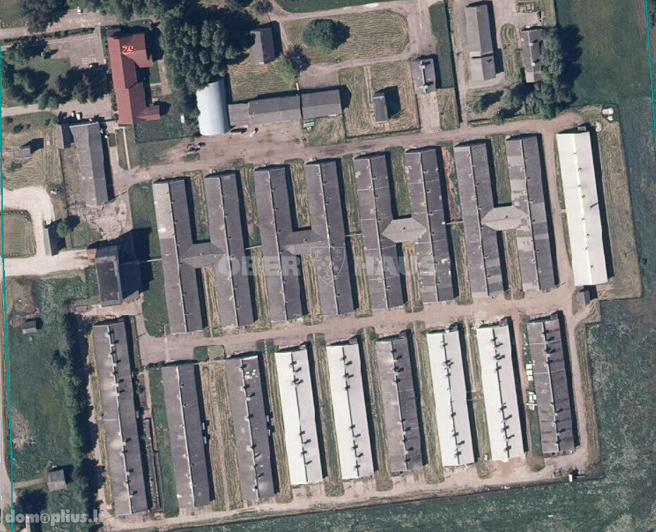 Parduodamos Gamybos ir sandėliavimo patalpos Šilutės rajono sav., Grabupiuose