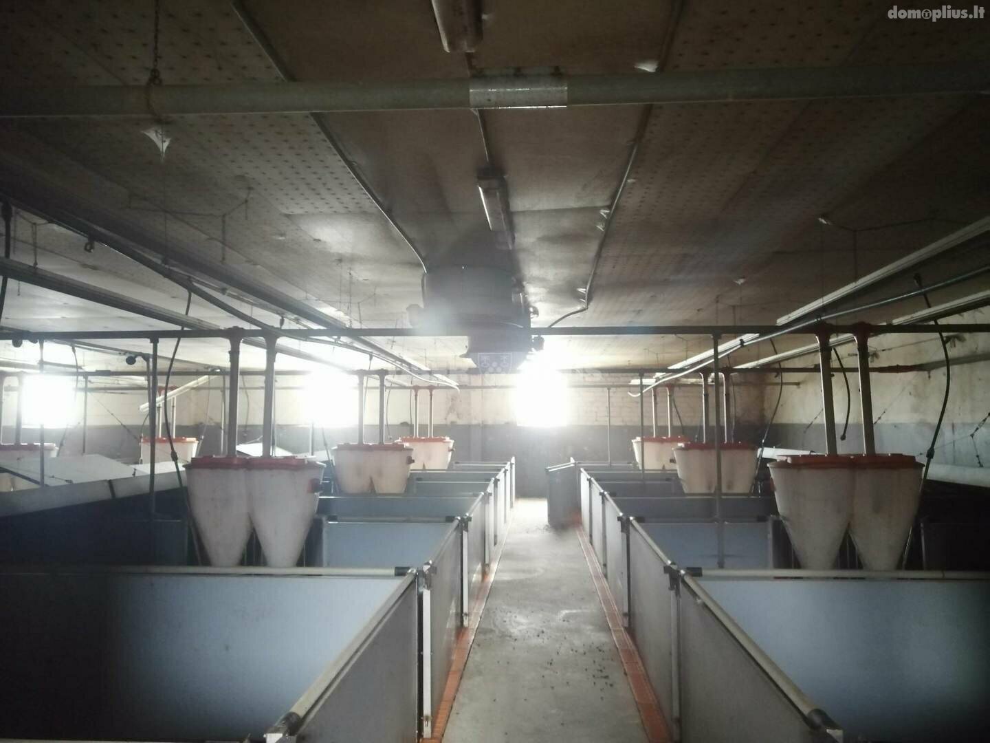 Parduodamos Gamybos ir sandėliavimo patalpos Šilutės rajono sav., Grabupiuose