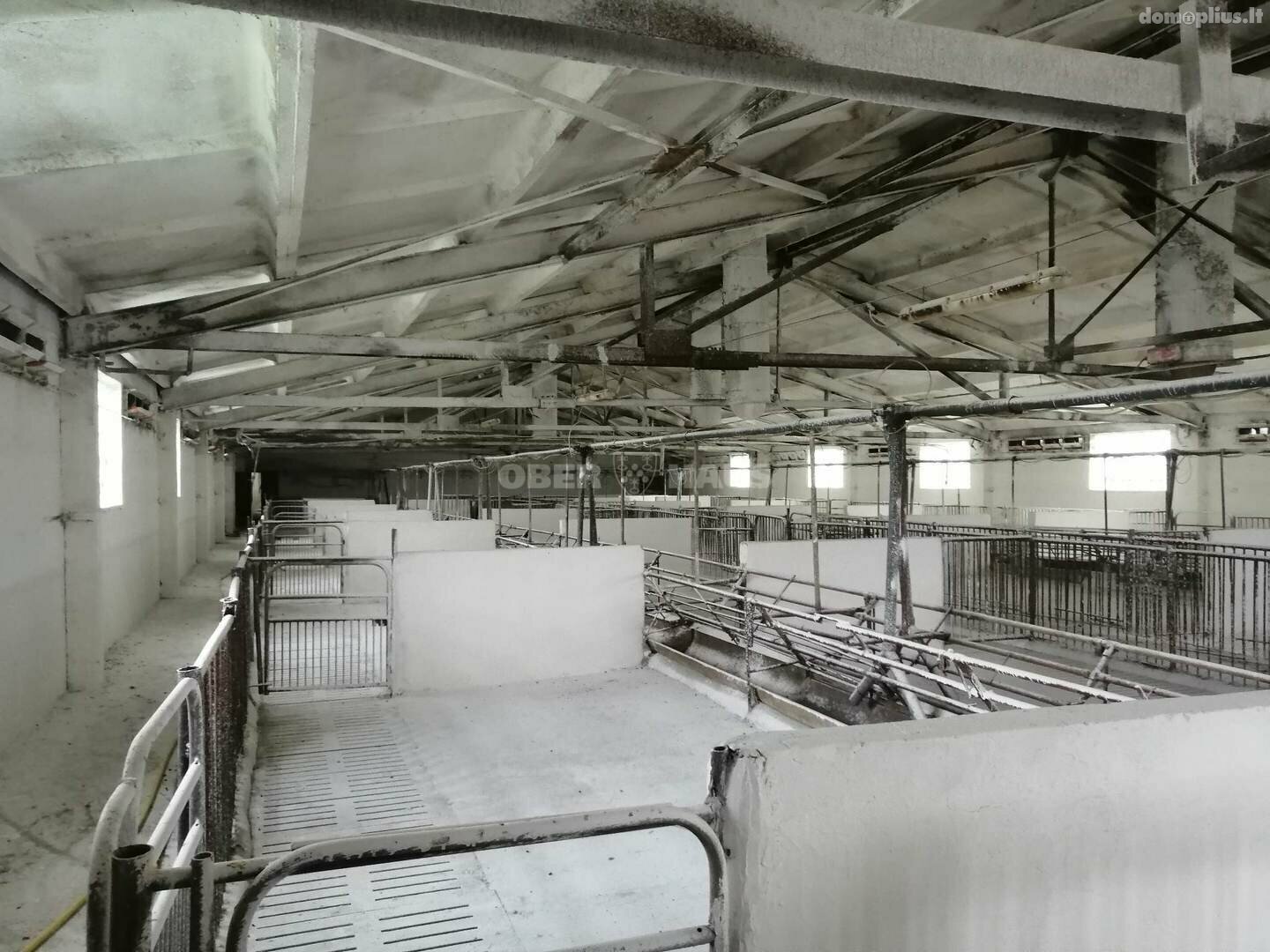 Parduodamos Gamybos ir sandėliavimo patalpos Šilutės rajono sav., Grabupiuose