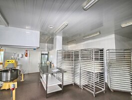 For sale Manufacture and storage premises Kaune, Dainavoje, Technikos g.