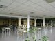 Alimentation Premises for rent Klaipėdoje, Rimkuose (6 picture)