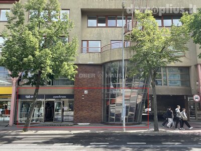 Parduodamos Prekybos ir paslaugų patalpos Klaipėdoje, Senamiestyje, H. Manto g.