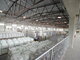 Storage Premises for rent Vilnius, Vilniuje, Galinės g. (13 picture)