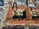 Parduodamos Biuro patalpos Vilniuje, Senamiestyje, Aguonų g. (1 nuotrauka)