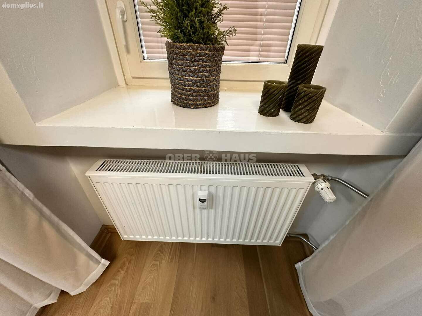 Prekybos ir paslaugų Patalpų nuoma Panevėžyje, Centre