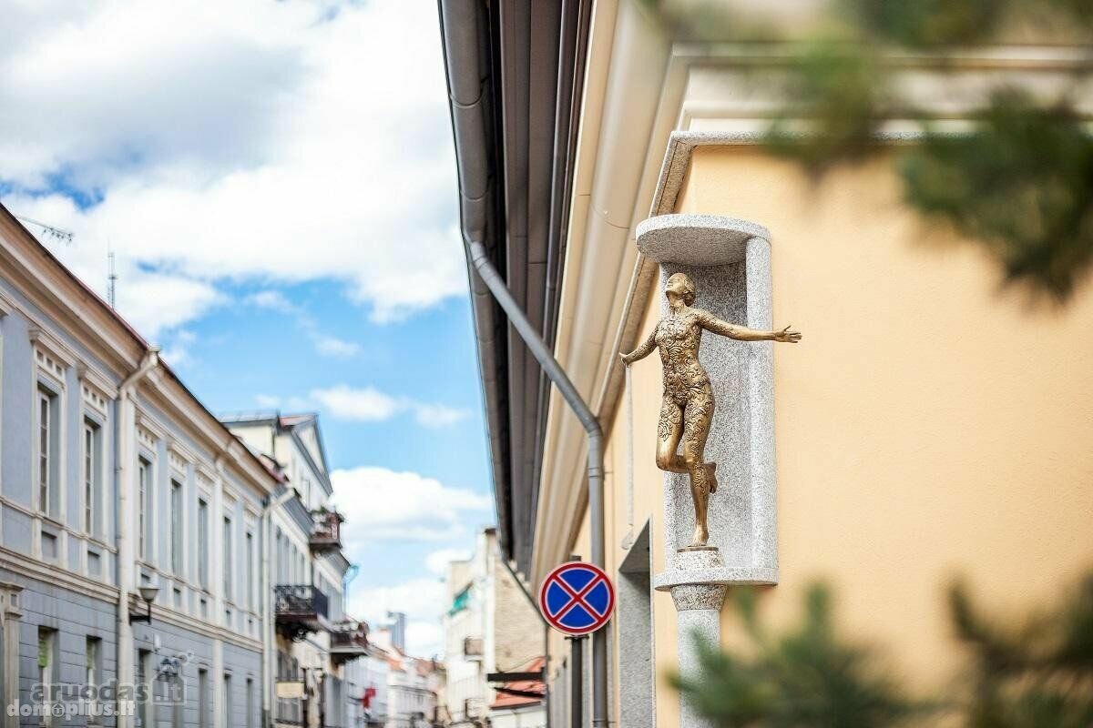  Помещения в аренду Vilniuje, Senamiestyje, Liejyklos g.