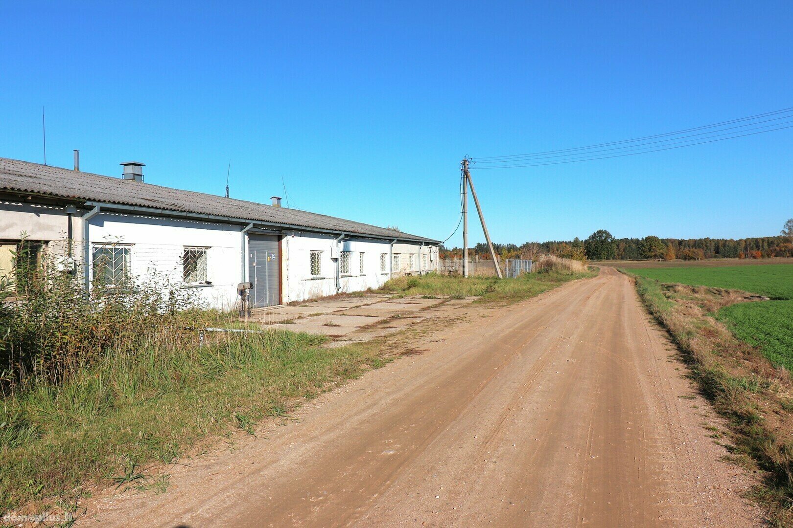 Gamybos ir sandėliavimo Patalpų nuoma Panevėžio rajono sav., Kriaučiūnuose