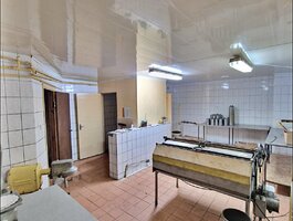 Parduodamos Prekybos ir paslaugų / Kita patalpos Prienų rajono sav., Prienuose, Tylioji g.