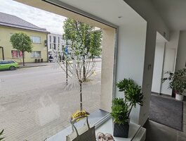 Office / Commercial/service Premises for rent Alytuje, Senamiestyje, S. Dariaus ir S. Girėno g.