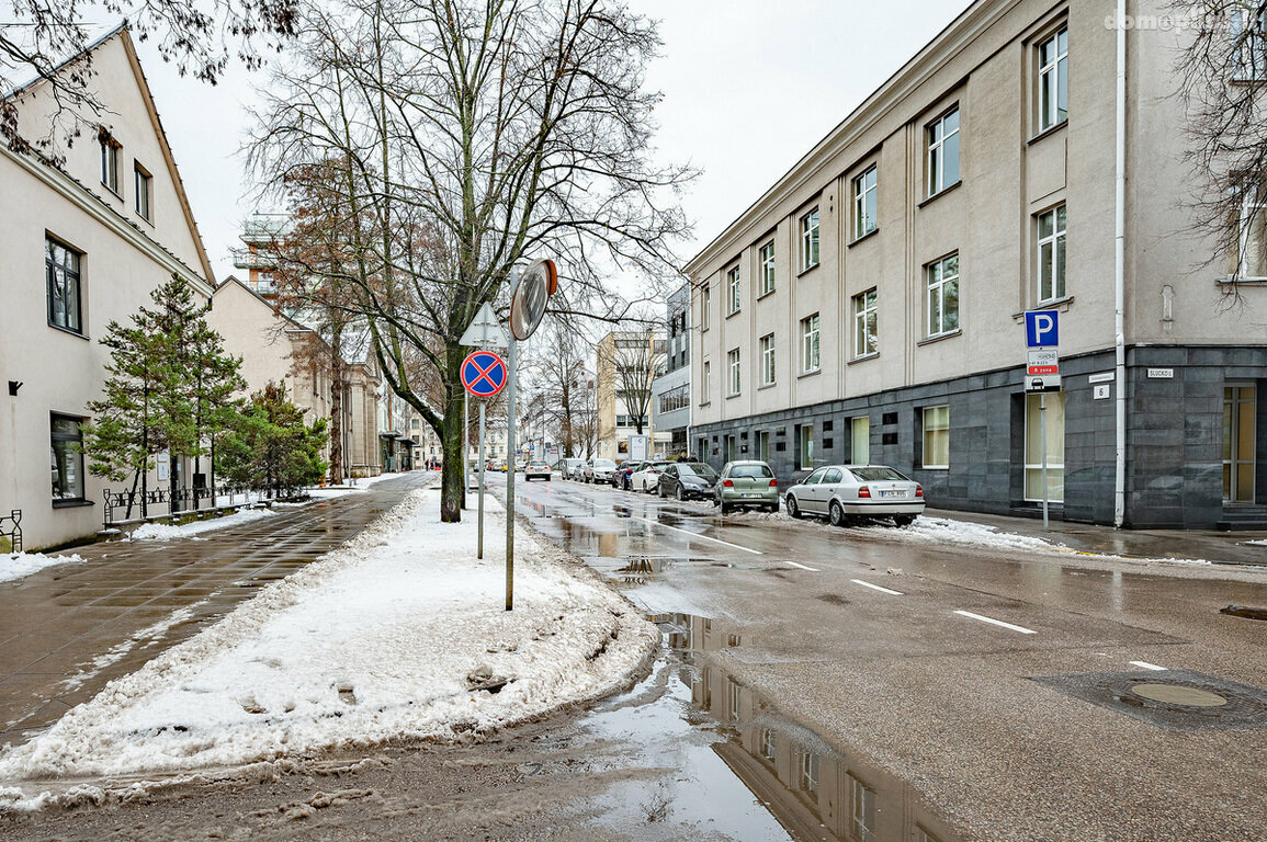Office / Other Premises for rent Vilniuje, Šnipiškėse, A. Juozapavičiaus g.