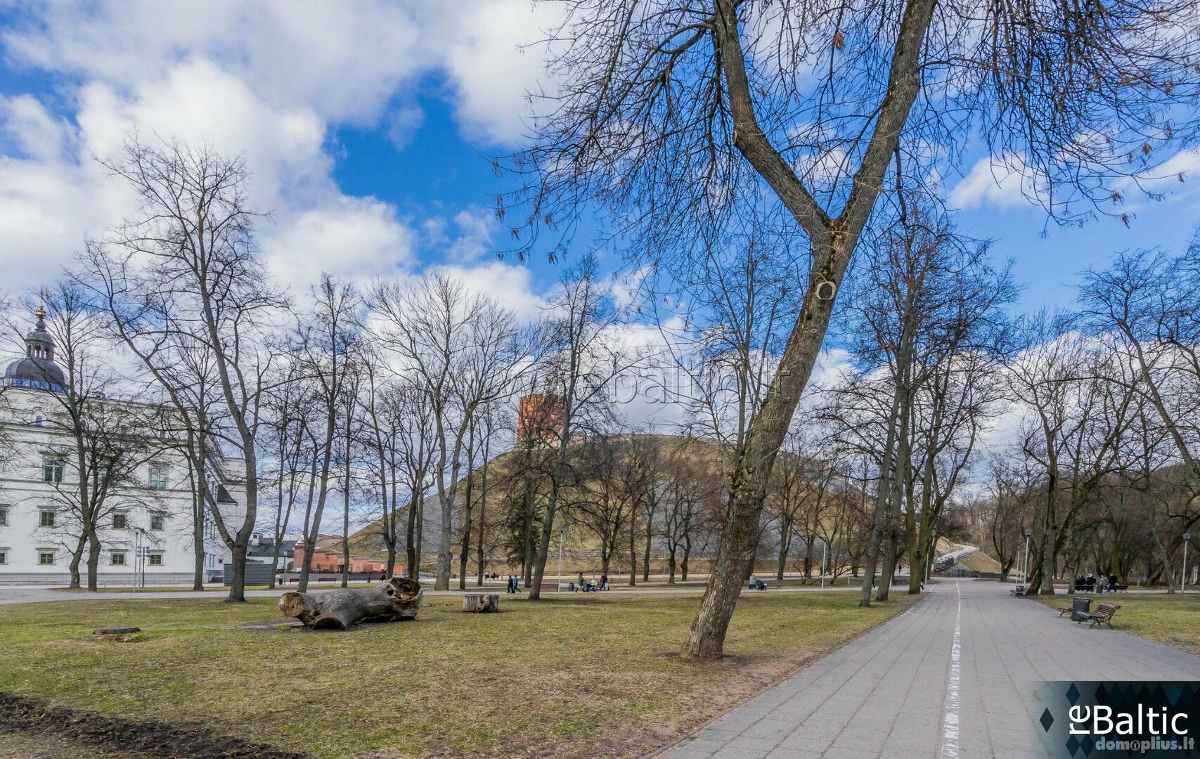  Помещения в аренду Vilniuje, Senamiestyje, Barboros Radvilaitės g.