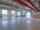 For sale Manufacture and storage premises Vilniaus rajono sav., Parapijoniškėse (9 picture)