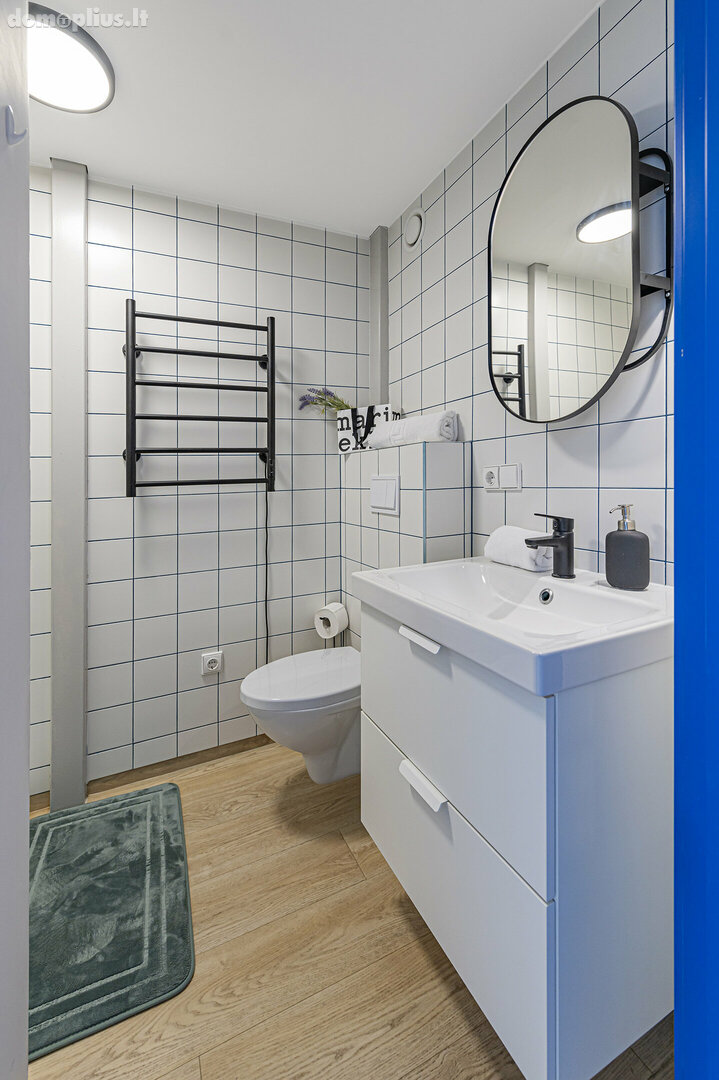 MINI LOFT 1BD Apartment. Buto nuoma Kaune, Centre, Laisvės al.