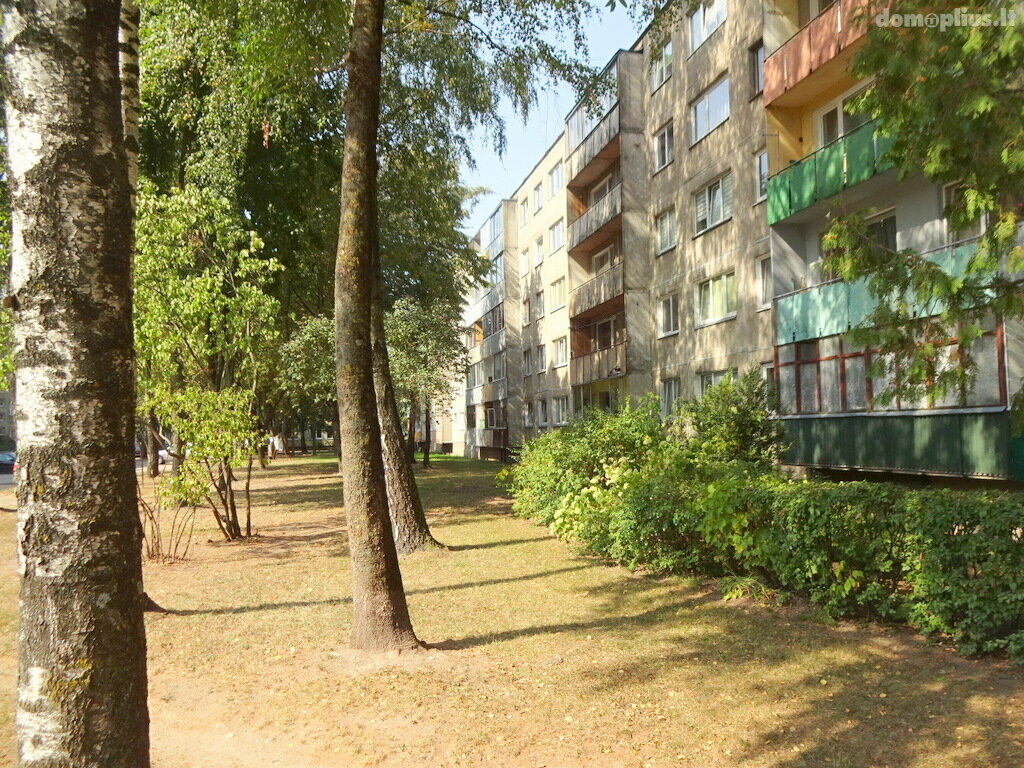 Jaukus butas centre. Buto nuoma Marijampolės sav., Marijampolėje, Dariaus ir Girėno g.