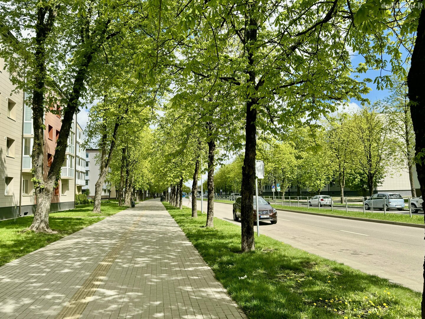 Draugystės II apartamentai. Buto nuoma Šiauliuose, Centre, Draugystės pr.