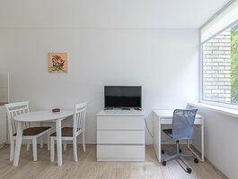 Partizanų studio apartments by Polo Apartments. Buto nuoma Kaune, Dainavoje, Partizanų g.