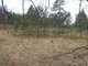 Parduodamas sklypas Druskininkų sav., Latežeryje, Upės g. (12 nuotrauka)