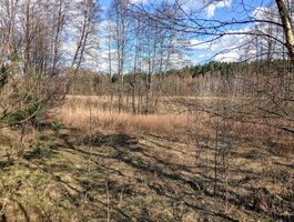 Land for sale Druskininkų sav., Latežeryje, Upės g.