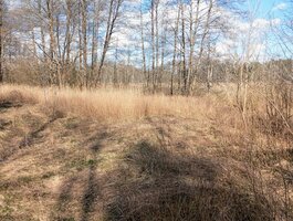 Land for sale Druskininkų sav., Latežeryje, Upės g.