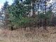 Parduodamas sklypas Druskininkų sav., Latežeryje, Upės g. (4 nuotrauka)