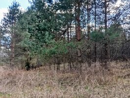 Land for sale Druskininkų sav., Latežeryje, Upės g.