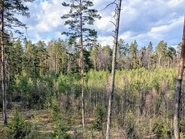 Land for sale Druskininkų sav., Latežeryje, Upės g.