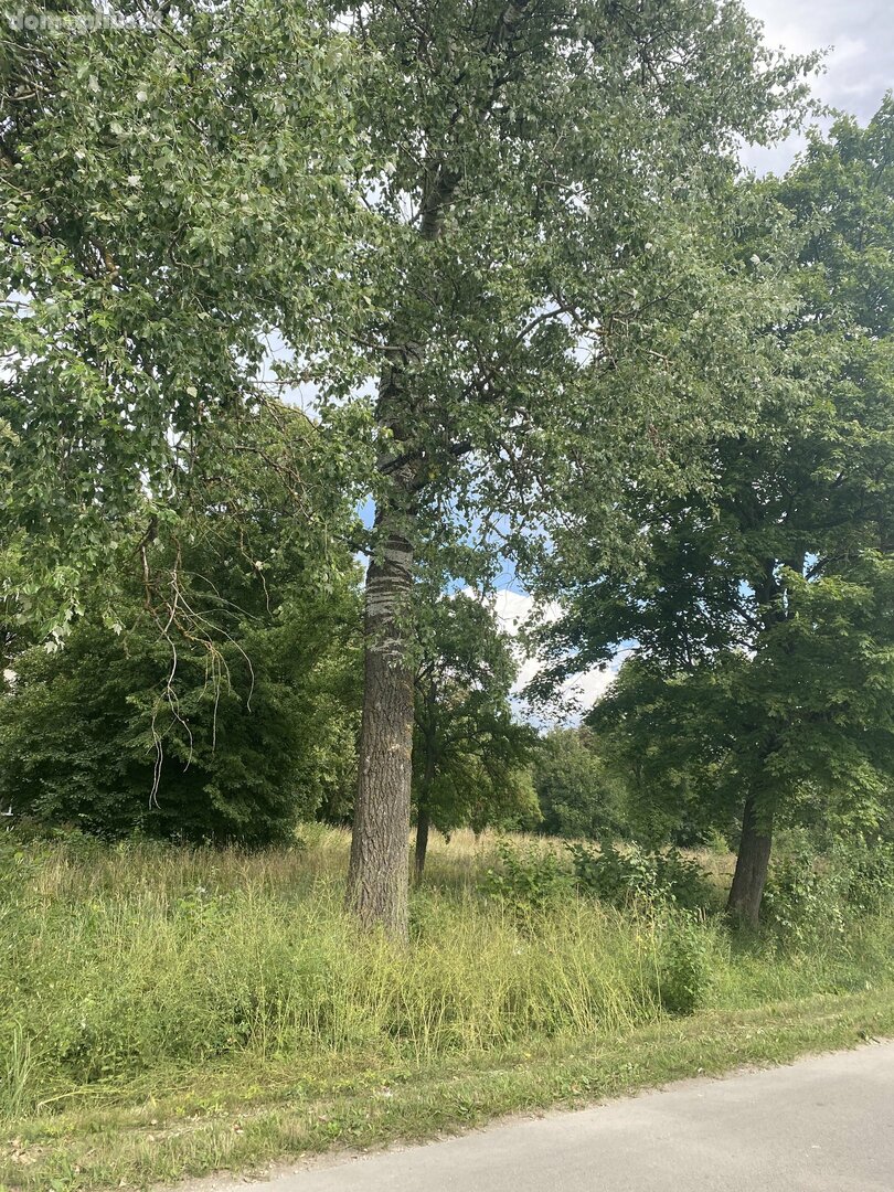 Parduodamas sklypas Šiaulių rajono sav., Aukštelkėje, Poilsio g.