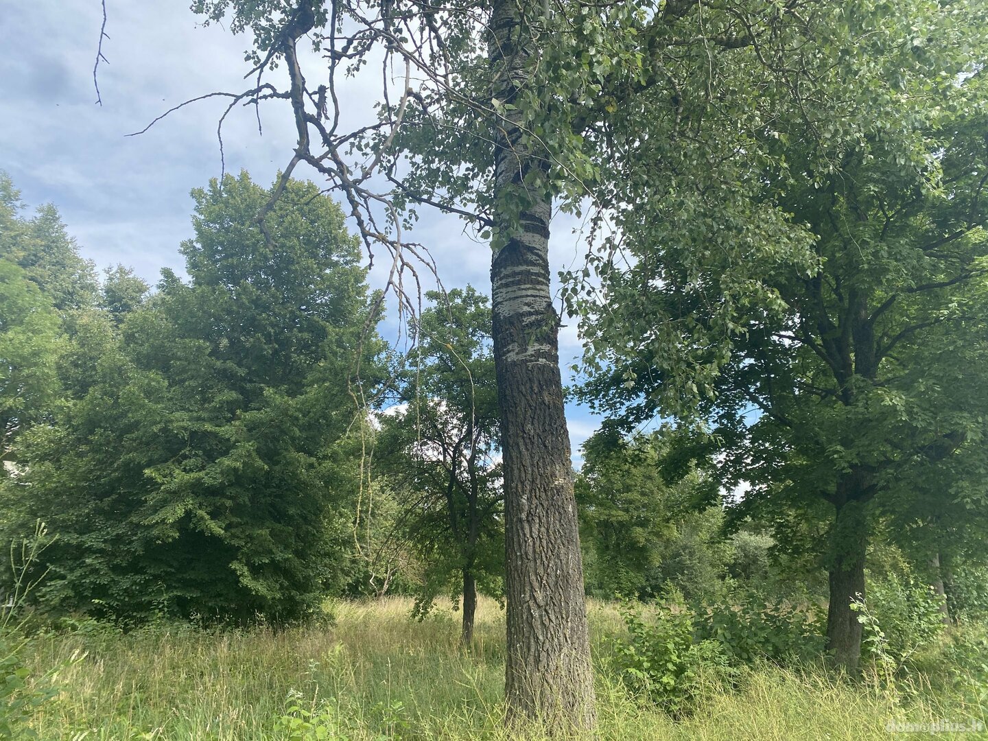 Parduodamas sklypas Šiaulių rajono sav., Aukštelkėje, Poilsio g.