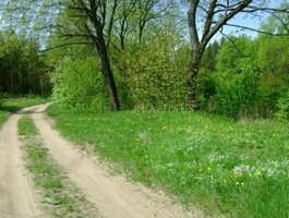 Parduodamas sklypas Vilniaus rajono sav., Šilėnuose