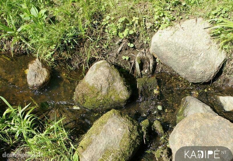 Parduodamas sklypas Širvintų rajono sav., Pociūnuose