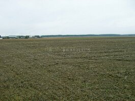 Parduodamas sklypas Vilniaus rajono sav., Didieji Lygainiai