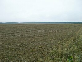 Parduodamas sklypas Vilniaus rajono sav., Didieji Lygainiai