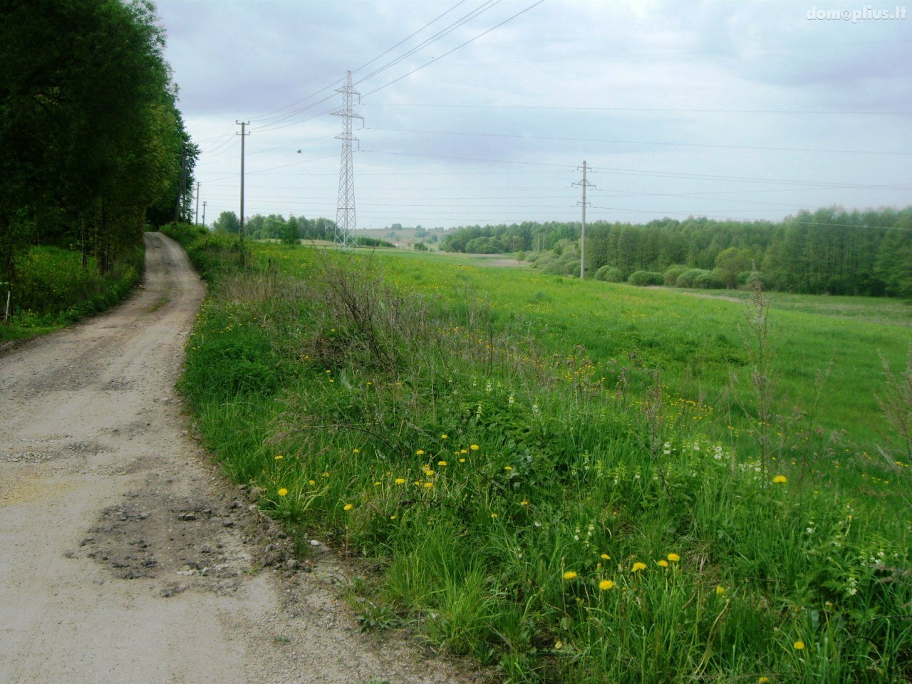 Parduodamas sklypas Alytaus r. sav., Miklusėnuose, Jazminų g.