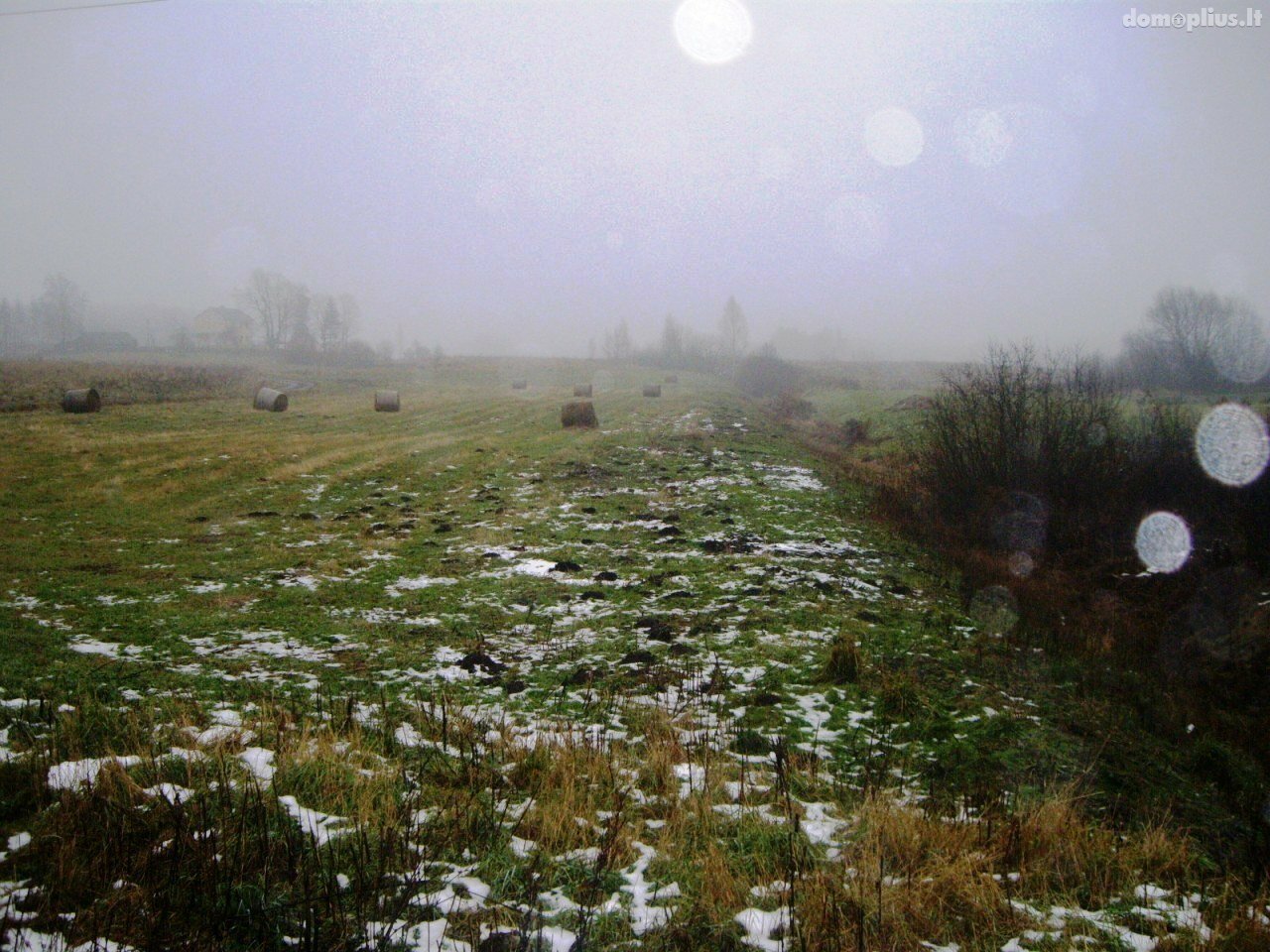 Parduodamas sklypas Alytaus rajono sav., Takniškiuose, Takniškių g.